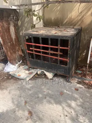 Metal Dog Cage