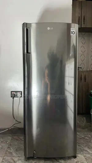 199l Lg Refrigerator