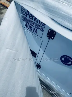40kva Perkins Soundproof Noise Reduction Design