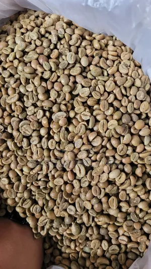 Arabica and Robusta Coffee