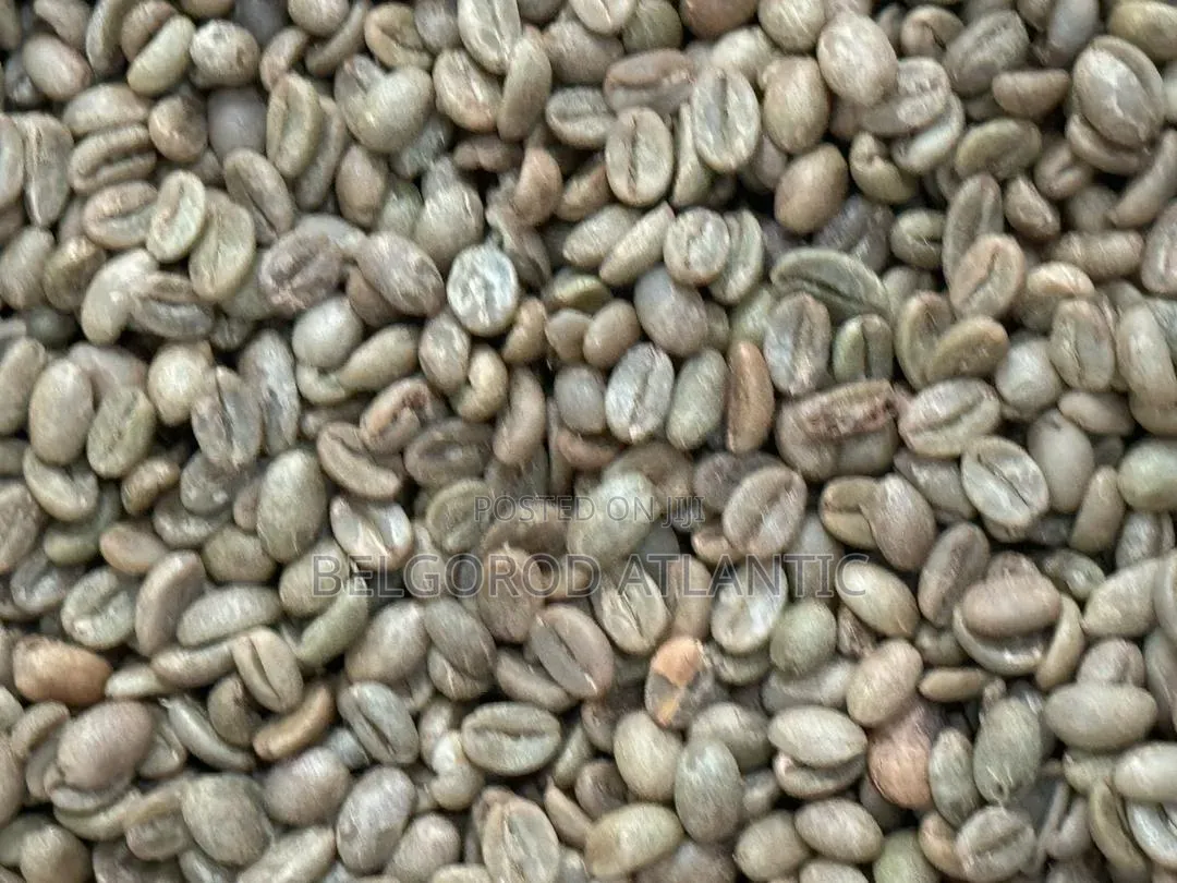 Arabica and Robusta Coffee