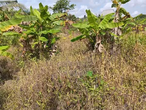 985 Prime Parcel of Land at Valley View Community