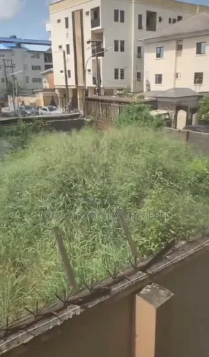 A Plot Of Land In A Beautiful Environment In Yaba