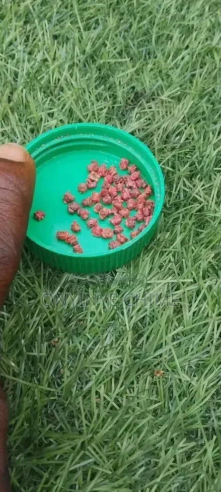 Beetroot Seeds