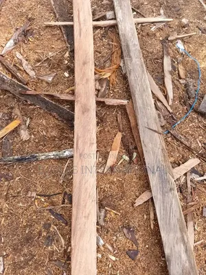 2 by 3 Long Wood