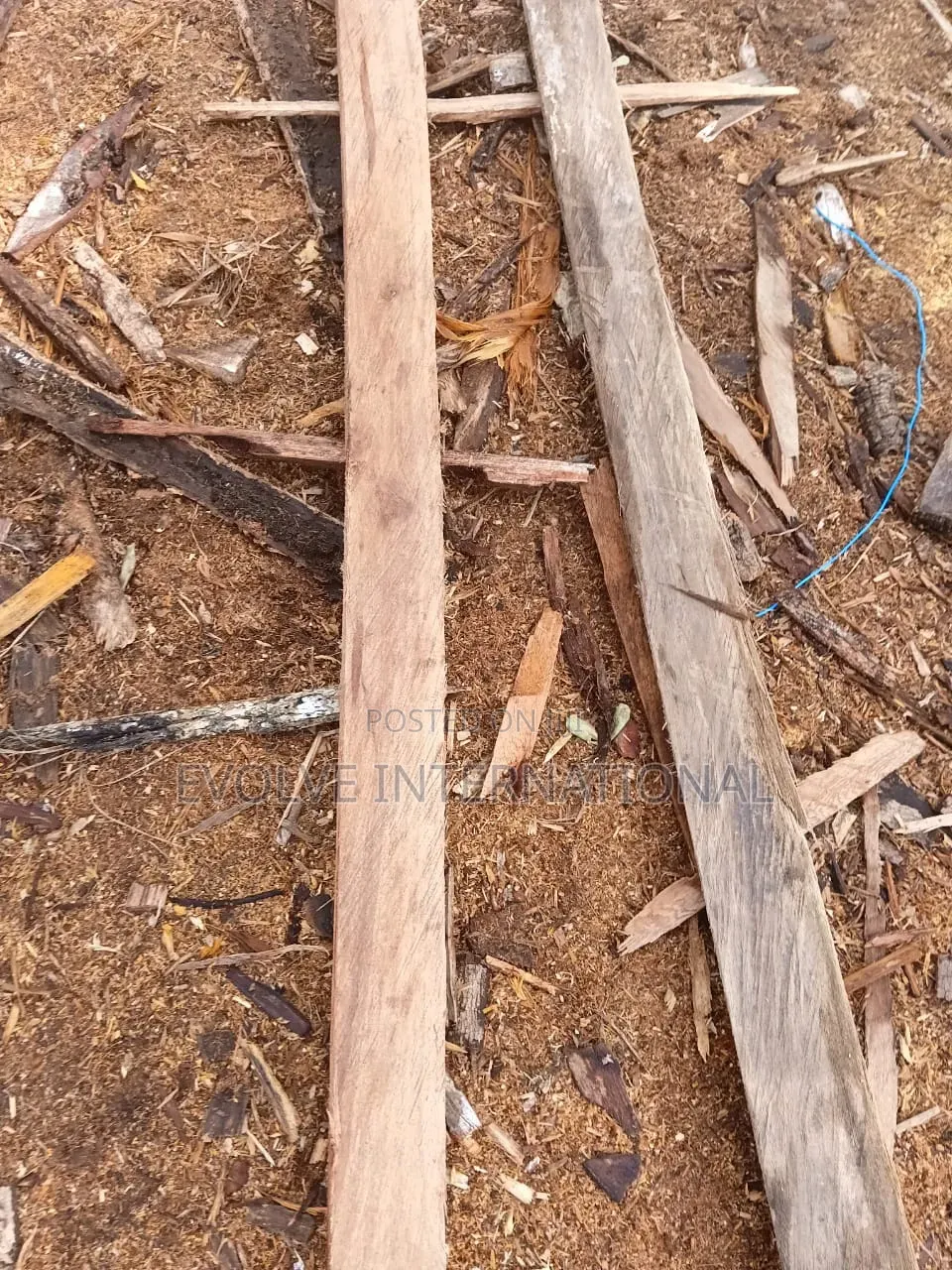 2 by 3 Long Wood
