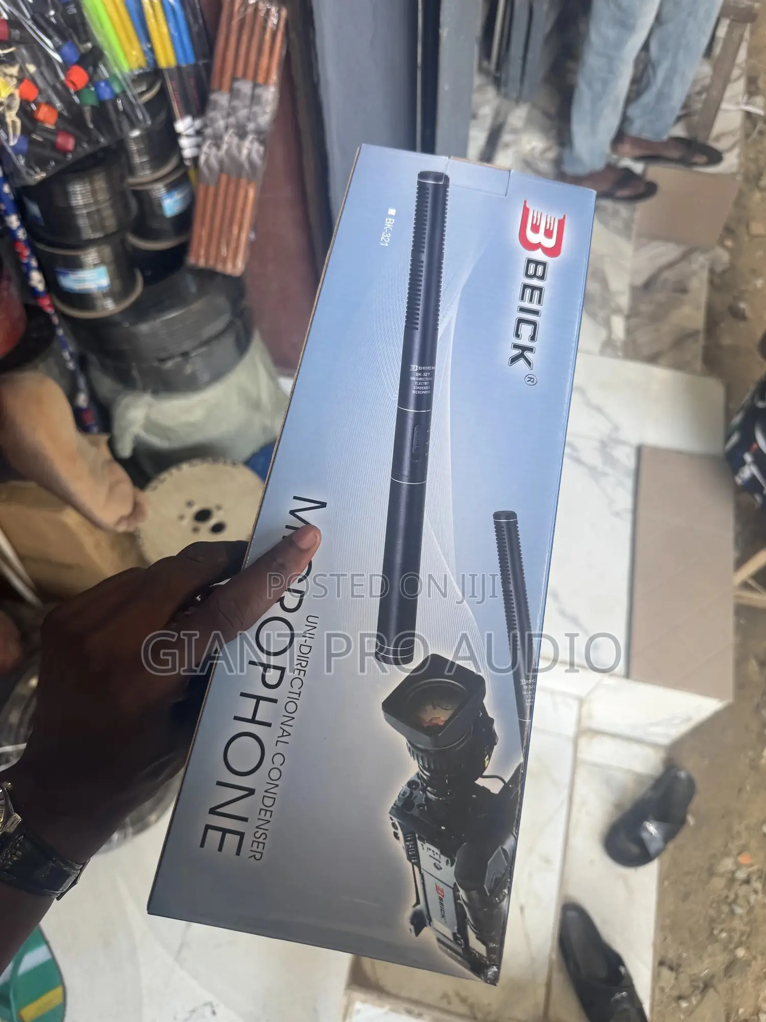 Beick Condenser Microphone.