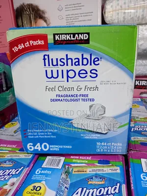 Kirkland Signature Flushable Wipes