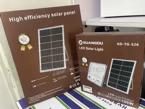 100w Solar Floodlight