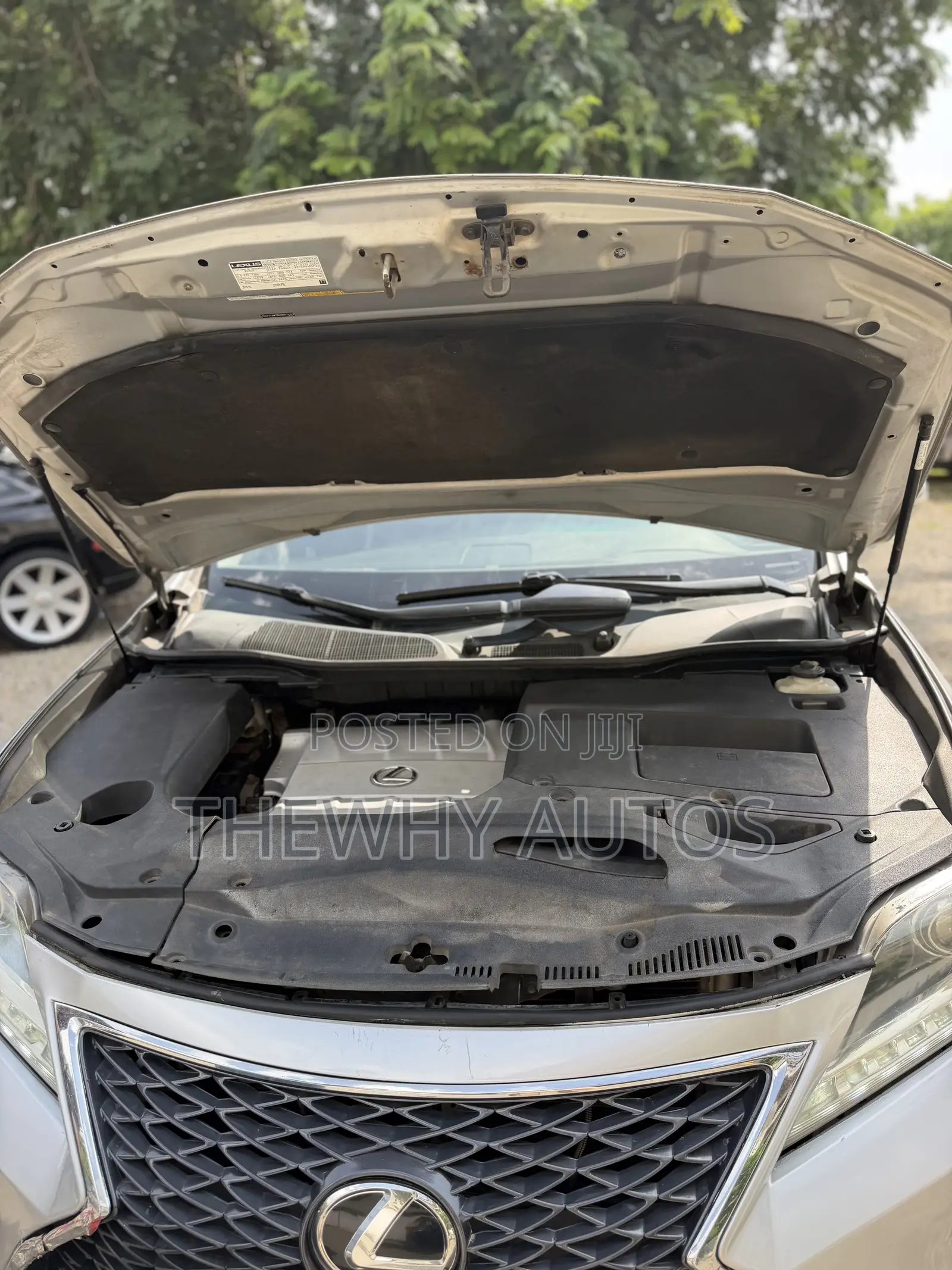 Lexus RX 350 2010 Silver
