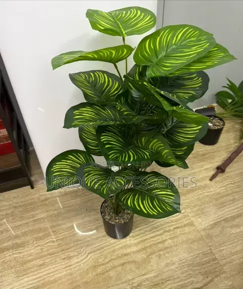 Green Plants Home Office Decor