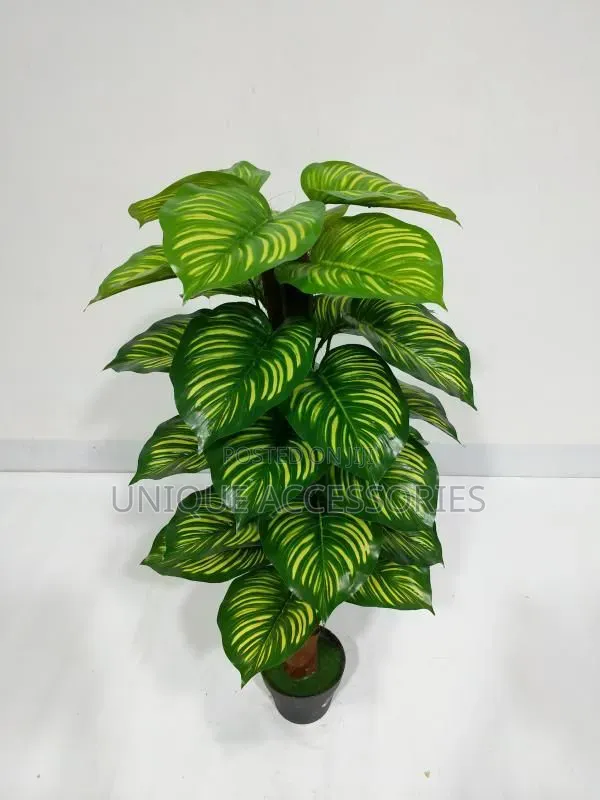 Green Plants Home Office Decor