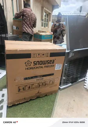 Snowsea Bd258 Large Capacity 176l Freezer