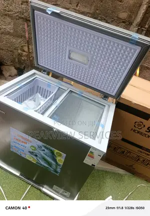 Bd258 Snowsea Deep Cooling Freezer 176l