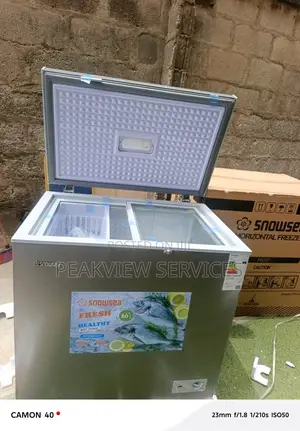176l Snowsea Bd258 Ice Storage Freezer