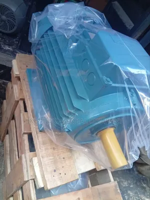Electric Motor