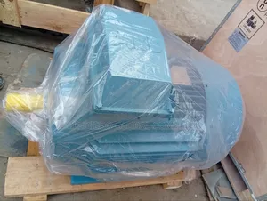 Electric Motor