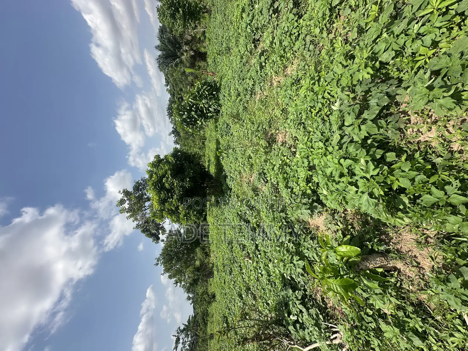 A Plot of Land