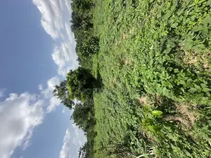A Plot of Land