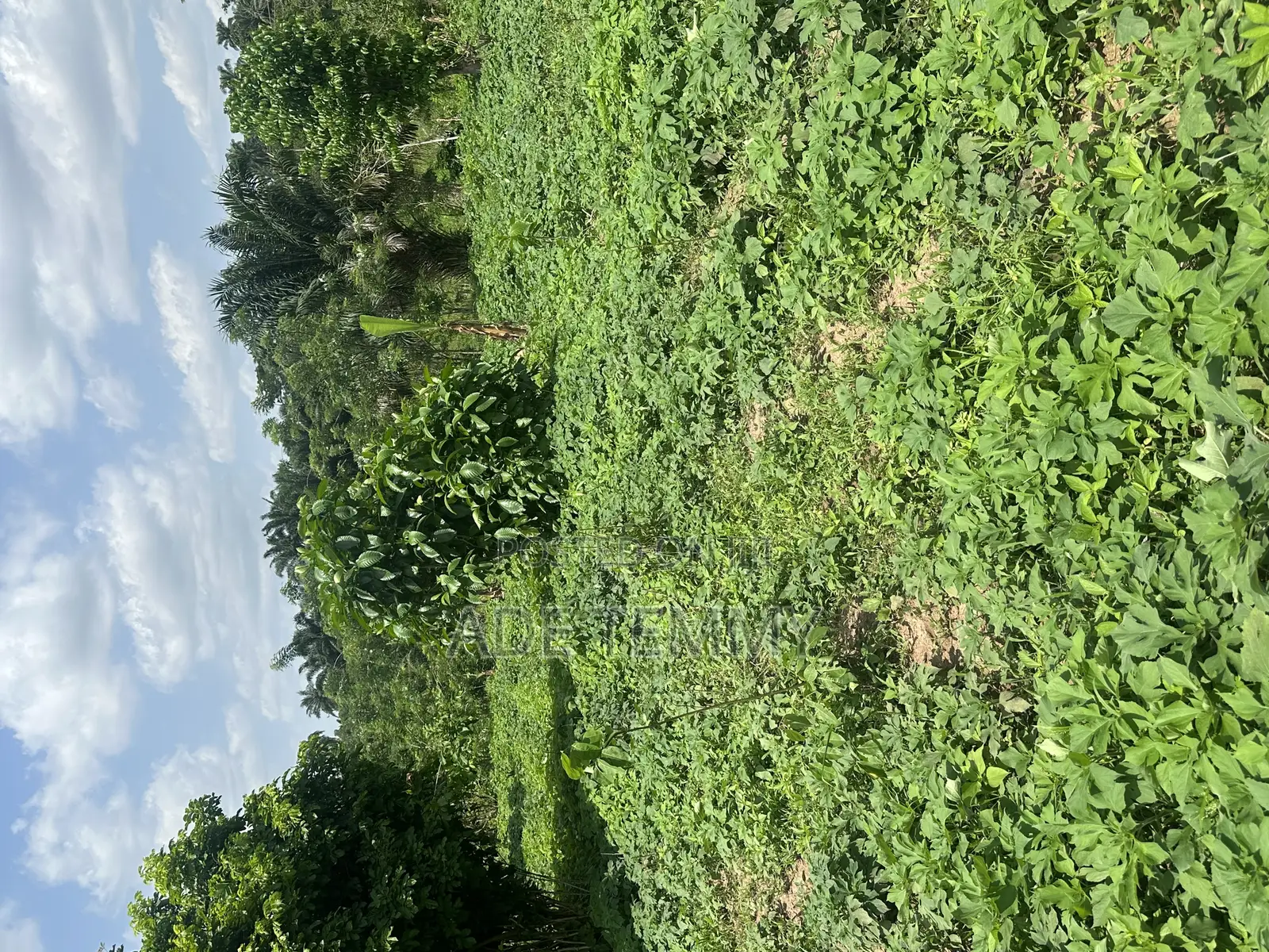 A Plot of Land