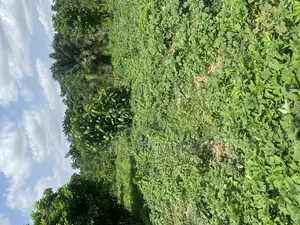 A Plot of Land