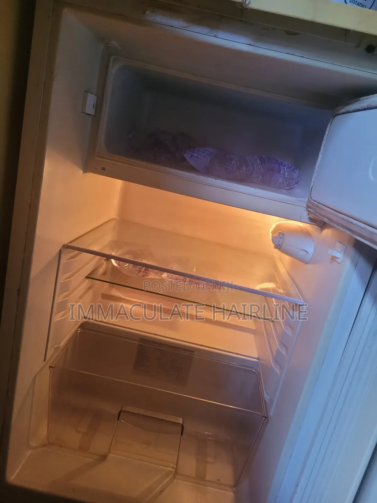 Fridge and Freezer