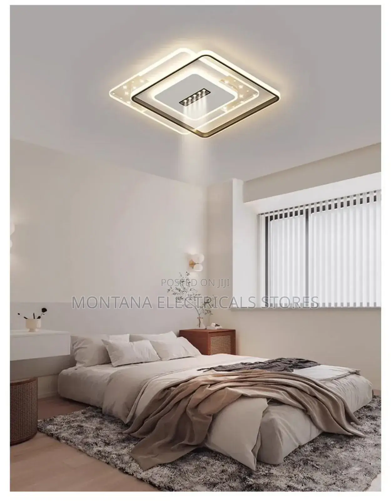 Ceiling Light