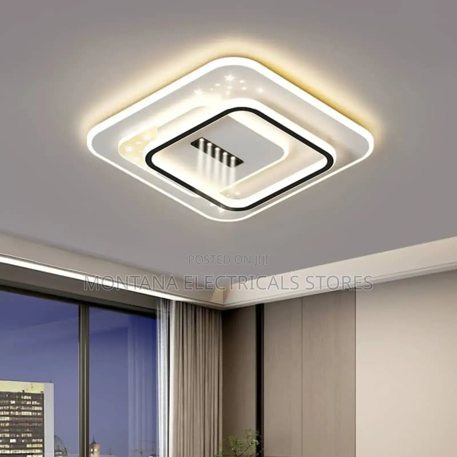 Ceiling Light