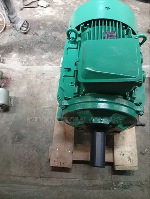 Leroysomer Electric Motor