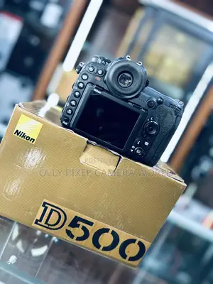 Nikon D500