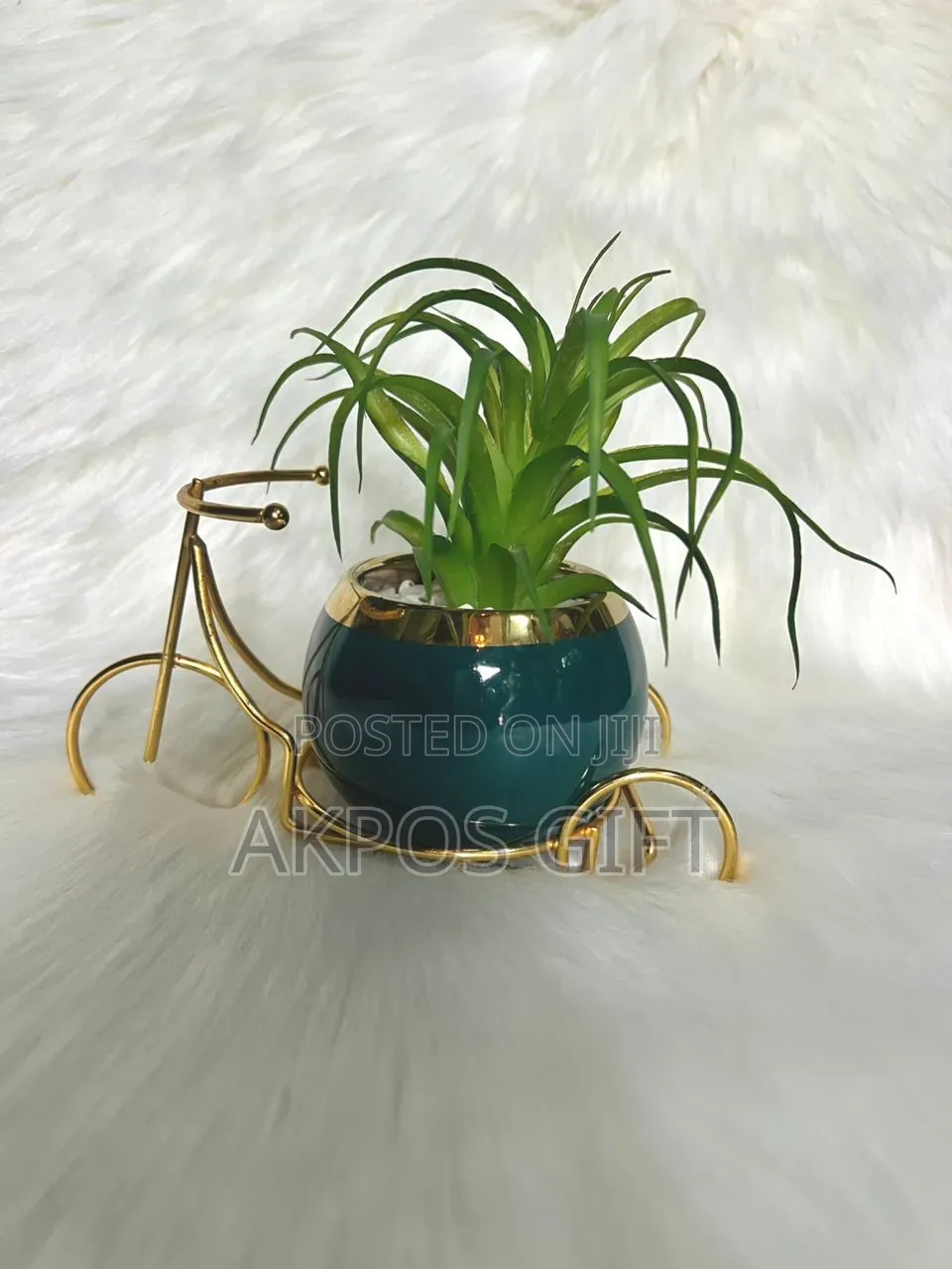 Home Decor