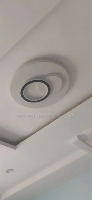Ceiling Light