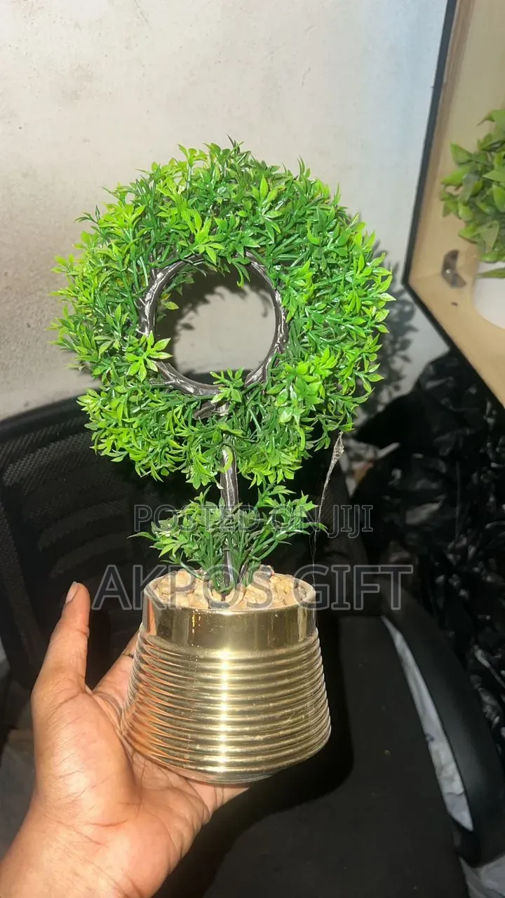 Home Decor