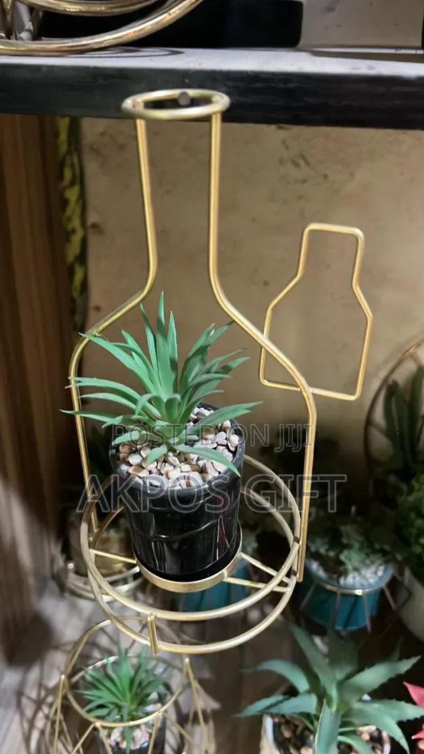Home Decor