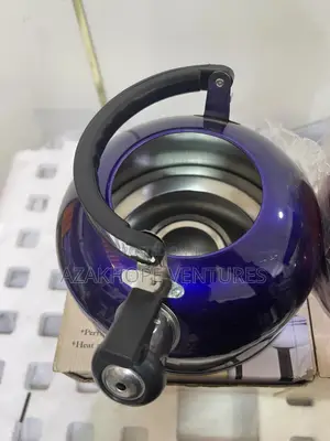 Stainless Steel Whistling Kettle