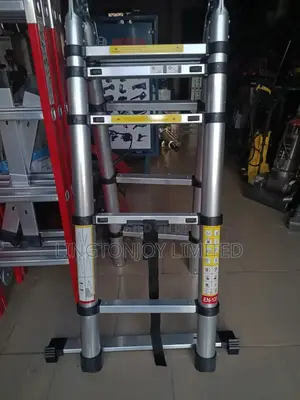Telescopic Double Sided Ladder 5m(2.5m + 2.5m)