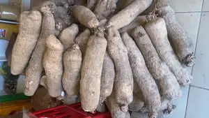 White Benue Yam