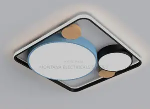 Ceiling Light