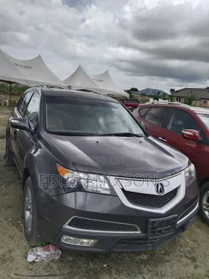 Acura MDX 2010 Gray