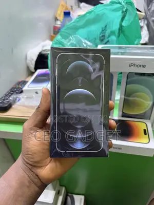 New Apple iPhone 12 Pro 256 GB Silver