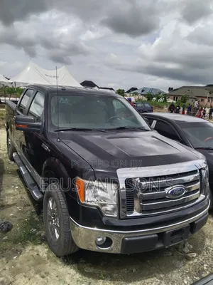 Ford F-150 2009 Black