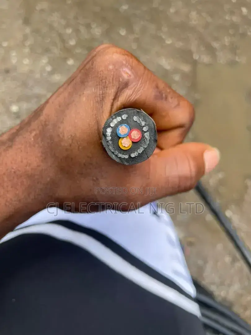 4mm 3core Armored Cable
