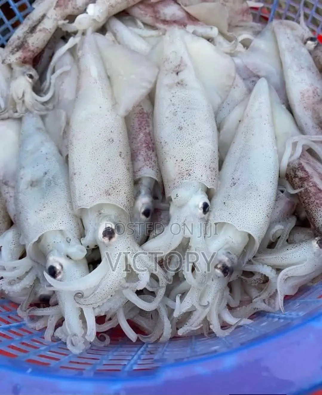 Crayfish(Clean and Affordable)