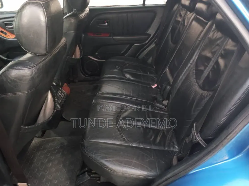 Lexus RX 2002 Blue