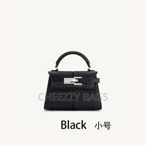 Jw Pei Bag Large (Fully Boxed)
