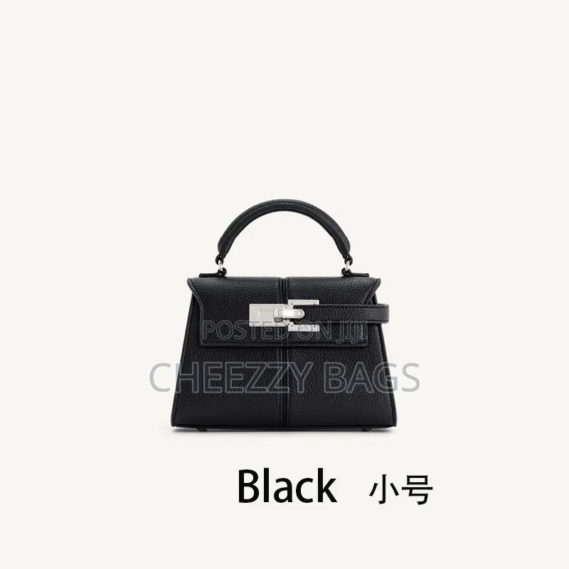 Jw Pei Bag Large (Fully Boxed)