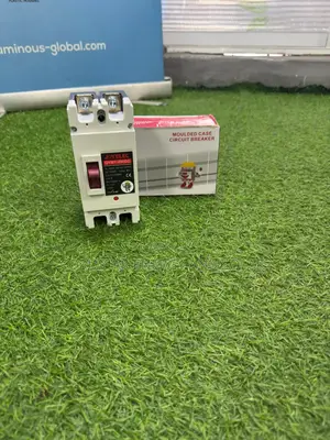 2-Pole McCb Breaker for Battery 250a Dc