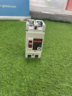 250a 2Pole McCb DC Breaker for Battery*
