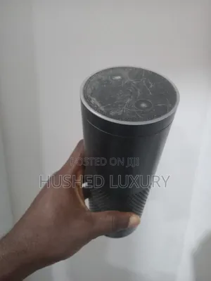 Alexa Echo Dot