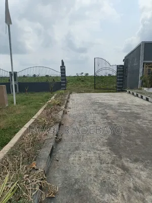 Acres of Profitable Oil Palm Farmland for Sale